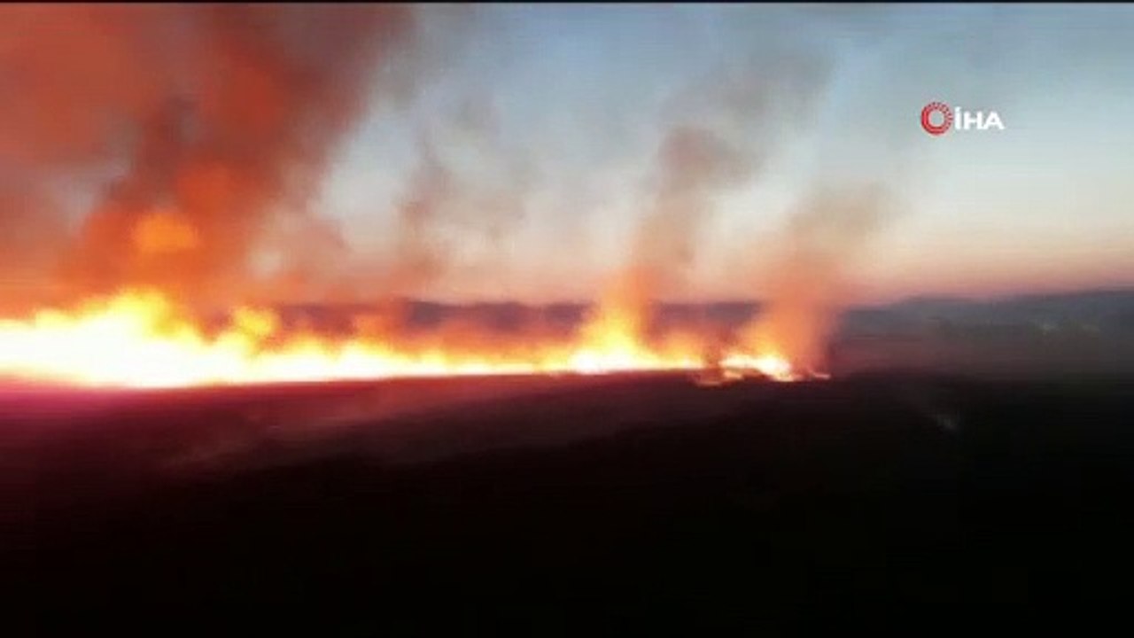 Bingöl’de yangın: 300 dönümlük arazi kül oldu