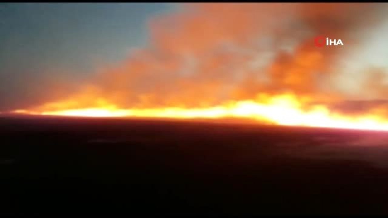 Bingöl'de yangın: 300 dönümlük arazi kül oldu