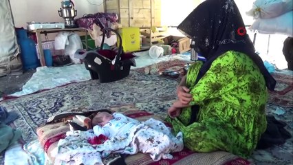 Mevsimlik fındık işçilerinin zorlu yaşam mücadelesi