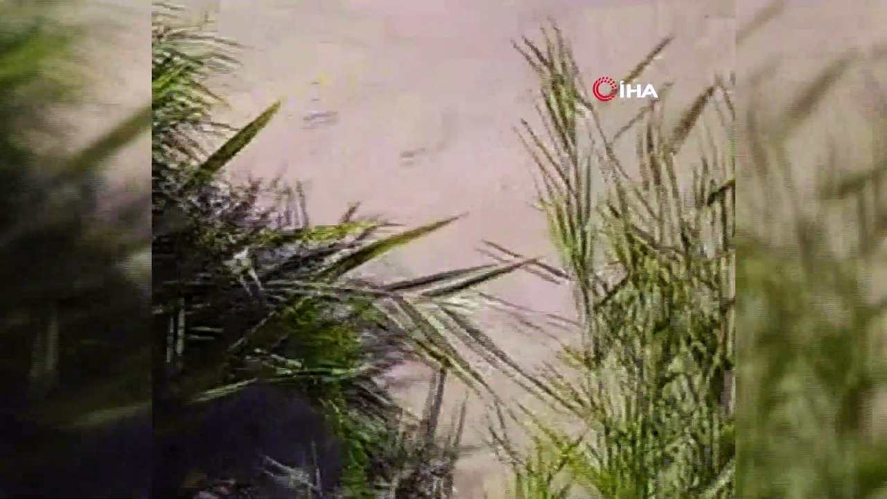 Tohma çayı çamur akıyor