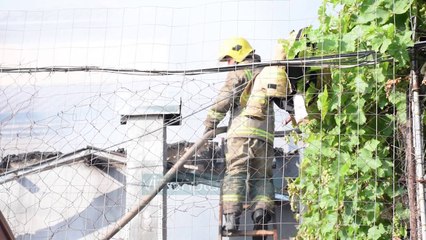 Digjen dy banesa në Korçë, shkrumbohet njëra - News, Lajme - Vizion Plus