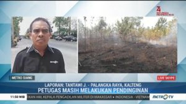 Kebakaran Lahan di Palangka Raya Padam, Petugas Lakukan Pendinginan