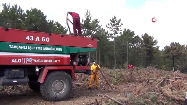 Ormanlık alanda yangın korkuttu