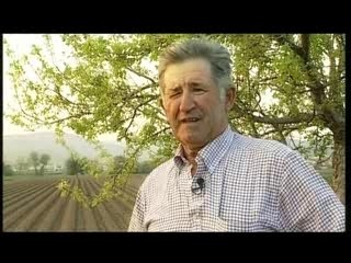 El espárrago de Huétor-Tájar