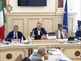 Roma - Raccolta e gestione rifiuti imballaggio, audizione Costa (31.07.19)