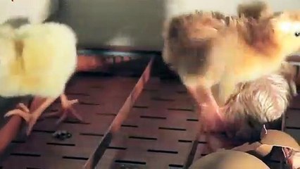 해운대출장안마 -후불100%ョOiOs2671s8135｛카톡LA369｝ 해운대전지역출장안마 해운대오피걸 해운대출장마사지 해운대안마 해운대출장마사지 해운대콜걸샵ЭЮЯ