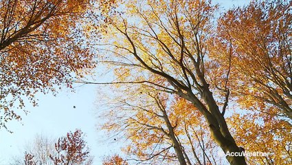 AccuWeather's 2019 fall forecast