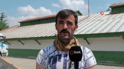 Haşhaş Kapsülleri İlaç Sektöründe Değerlendiriliyor