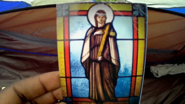 11 Fatima Pilgrimage walk across USA # Reading Pslams On rainy day in the woods in tent