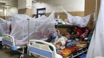 Bangladesh vive el peor brote de dengue de su historia con unos 17.000 casos