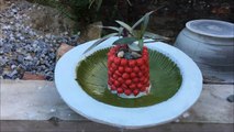 AMAZING LIFE HACKS with CEMENT - Garden Decoration - Home Decoration ideas - cement pots diy
