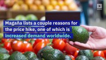 This Is Why Avocado Prices Are Skyrocketing