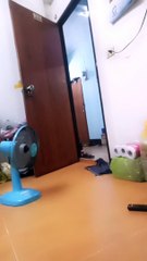 Fan cooling in Bangkok flat!