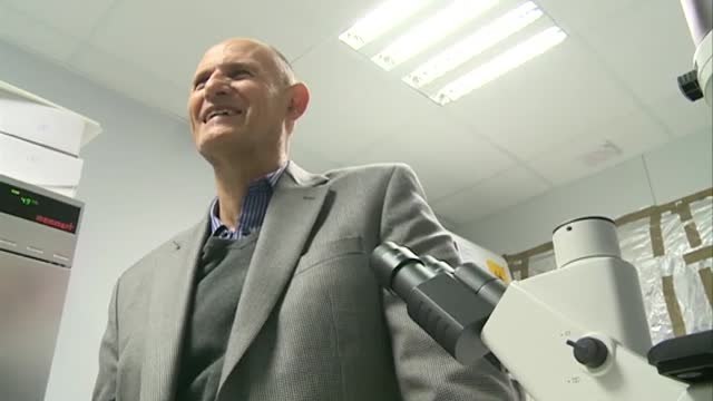 Científicos españoles lideran una investigación para crear embriones de monos con células humanas