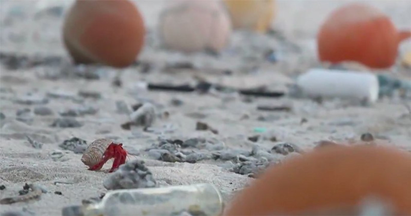 Connue pour son « écologie pratiquement intacte », l'île Henderson est noyée sous les déchets