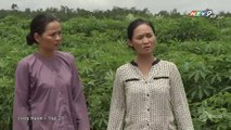 Phim HTV9 - Sóng Ngầm Tập 28 - Phim Việt Nam