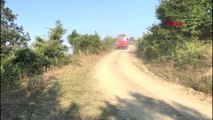 Sinop'ta orman yangınında 8 hektarlık alan zarar gördü