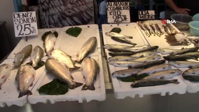 - Balıkçılar yeni sezondan umutlu: İstavrit bol olacak, palamut henüz gözükmüyor