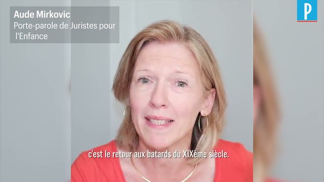 PMA : « Retour aux bâtards », que veut dire la vidéo de la Manif pour tous ?