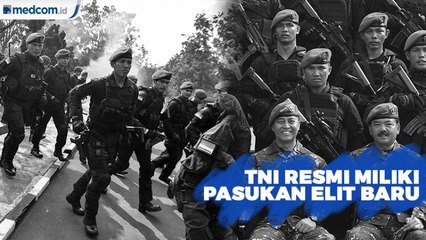 TNI Resmi Miliki Pasukan Elit Koopsus