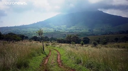 Békét köt a lázadókkal a mozambiki elnök