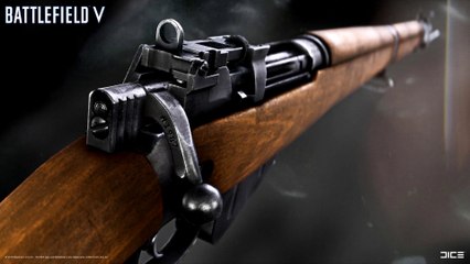 [BFV] BATTLEFIELD 5 Lee-Enfield No.4 Mk.1
