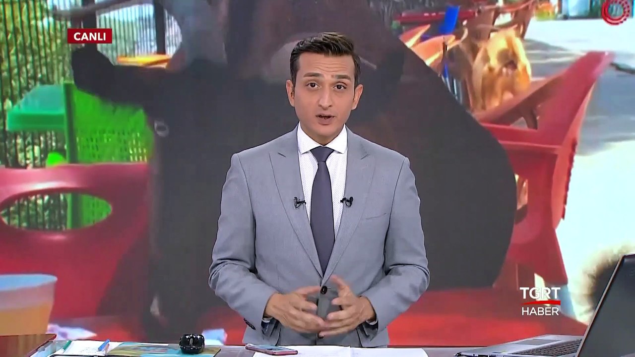 Kafe Basan Keçi Çetesi
