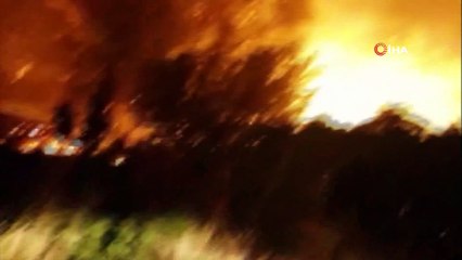 İzmir’de zeytinlik alanda yangın