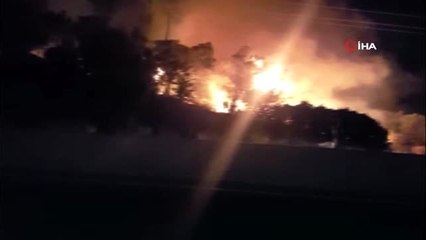 İzmir'de zeytinlik alanda yangın