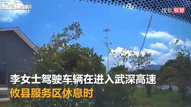 Femme au volant : elle se plante sans raison dans les arbres !