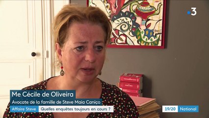 Affaire Steve : quelles enquêtes sont-elles toujours en cours ?