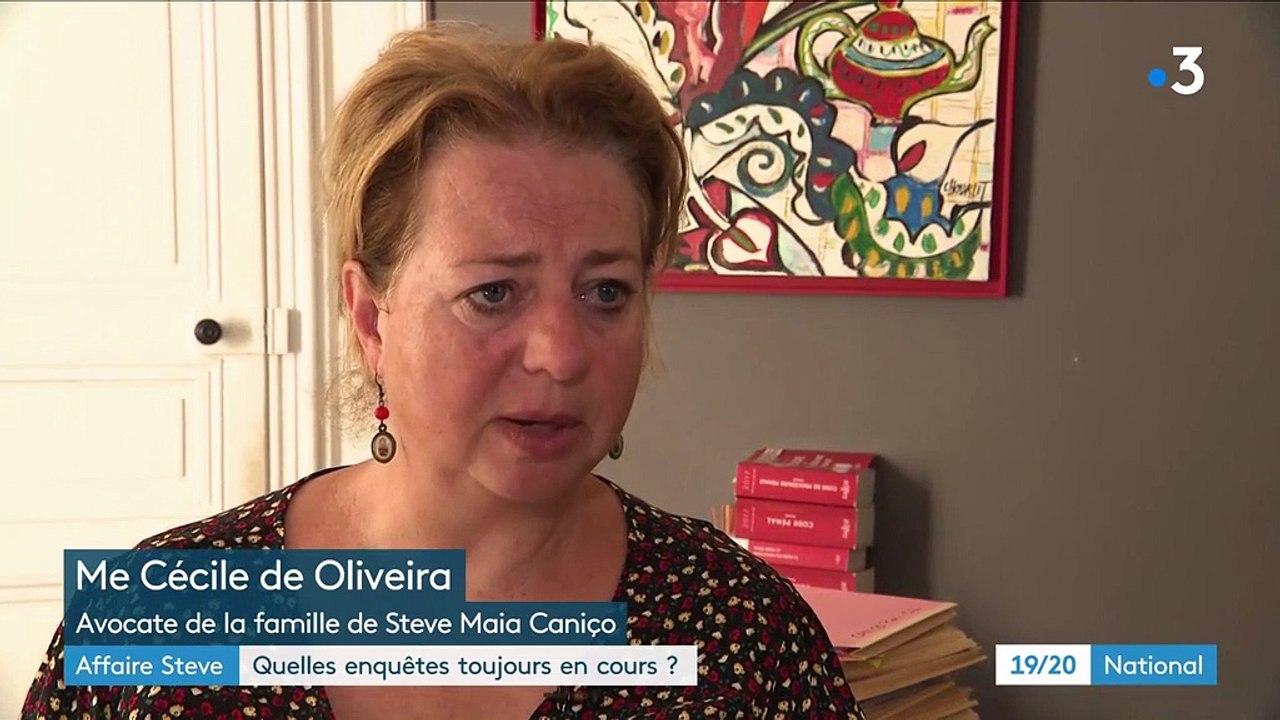 Affaire Steve : quelles enquêtes sont-elles toujours en cours ?