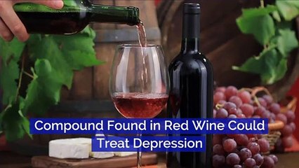 Compound Found in Red Wine Could Treat Depression