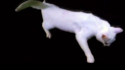 해남$$◁해남출장안마 -후불100%ョOiOc2659c1768｛카톡KP93｝ 해남전지역출장안마 해남오피걸 해남출장마사지 해남안마 해남출장마사지 해남콜걸샵§∥∏