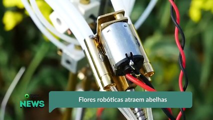 Flores robóticas atraem abelhas