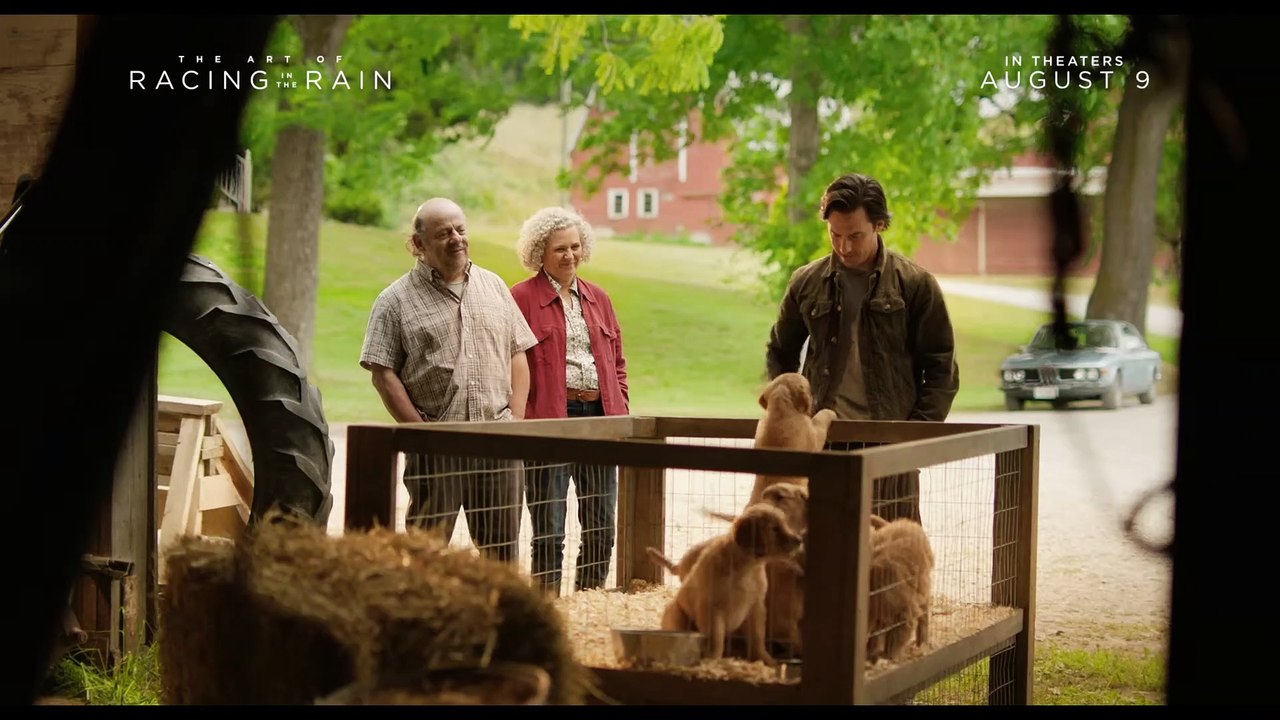 The Art of Racing in the Rain movie - Call it fate, call it luck, all I knew is that I was meant to be his dog!