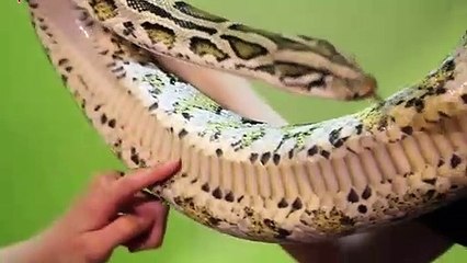 진안출장안마 -후불100%ョØ1ØZ2659Z1768｛카톡SN92｝ 진안전지역출장안마 진안오피걸 진안출장마사지 진안안마 진안출장마사지 진안콜걸샵ゆ㌾◈