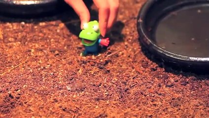 노원출장op후기∮노원출장안마 -후불100%ョO7OX7575X0062｛카톡DK654｝ 노원전지역출장안마 노원오피걸 노원출장마사지 노원출장안마 노원출장마사지 노원콜걸샵⾱⾾⻜