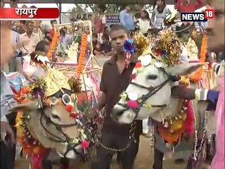 हरेली तिहार: अच्छी फसल की कामना के साथ प्रकृति की पूजा का पर्व, सीएम बघेल ने दी बधाई