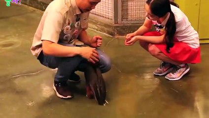 애월출장아가씨강추추천≑애월출장안마 -후불100%ョOiOc6622c4421｛카톡XN94｝ 애월전지역출장안마 애월오피걸 애월출장마사지 애월안마 애월출장마사지 애월콜걸샵♭