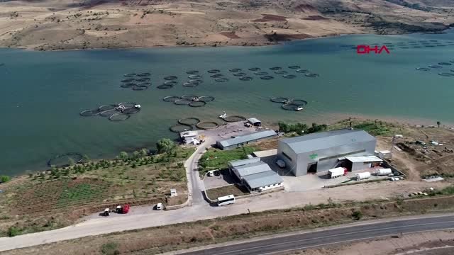 Sivas'tan Rusya'ya alabalık ihracatı
