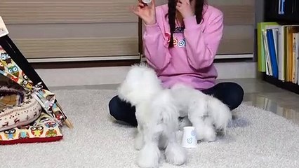 송정애인대행가격알바후기∮송정출장안마 -후불100%ョOiOc7467c4367｛카톡XI74｝ 송정전지역출장안마 송정오피걸 송정출장마사지 송정안마 송정출장마사지 송정콜걸샵∂