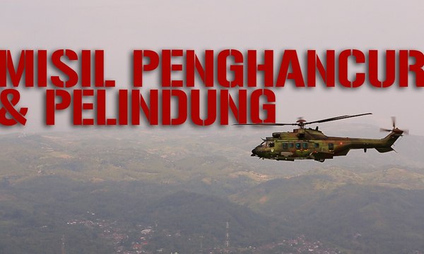 Skadron Udara 8, Misil Penghancur dan Pelindung - CERITA MILITER