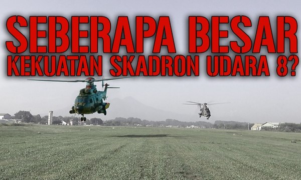Skadron Udara 8, Seberapa Besar Kekuatan Skadron Udara 8? - CERITA MILITER