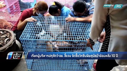 เรียกผู้บริหารปศุสัตว์-อย. ชี้แจง จัดซื้อวัคซีนพิษสุนัขบ้าย้อนหลัง 10 ปี - เข้มข่าวค่ำ