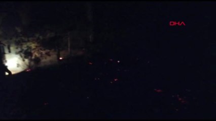 Amasya'da havai fişek, orman yangını çıkardı