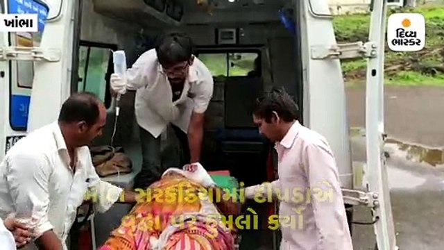 મોટા સરકડીયામાં લઘુશંકા કરવા બહાર નીકળેલા વૃદ્ધા પર 7 ફૂટની દીવાલ કૂદી દીપડાએ હુમલો કર્યો