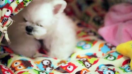 봉화페이만남강추≑봉화출장안마 -후불100%ョO7Oy7575y0054｛카톡USA16｝ 봉화전지역출장안마 봉화오피걸 봉화출장마사지 봉화안마 봉화출장마사지 봉화콜걸샵≥