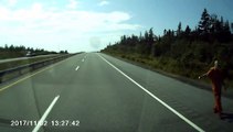 Hazardous Hitchhiker on the Highway