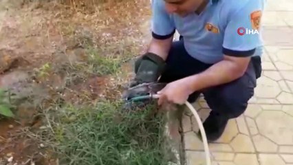 Sıcaktan bayılan kuşun imdadına itfaiye yetişti